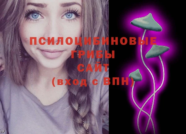 ешки Козловка