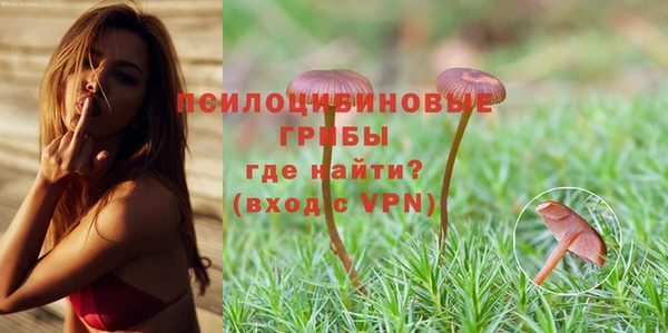 эйфоретик Кодинск